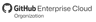 GitHub Enterprise Cloud - Organization
